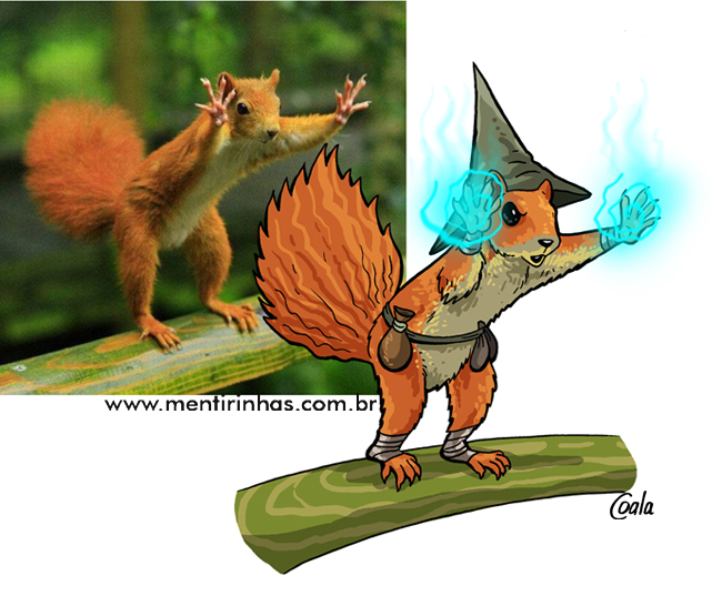 esquilo mágicoOK