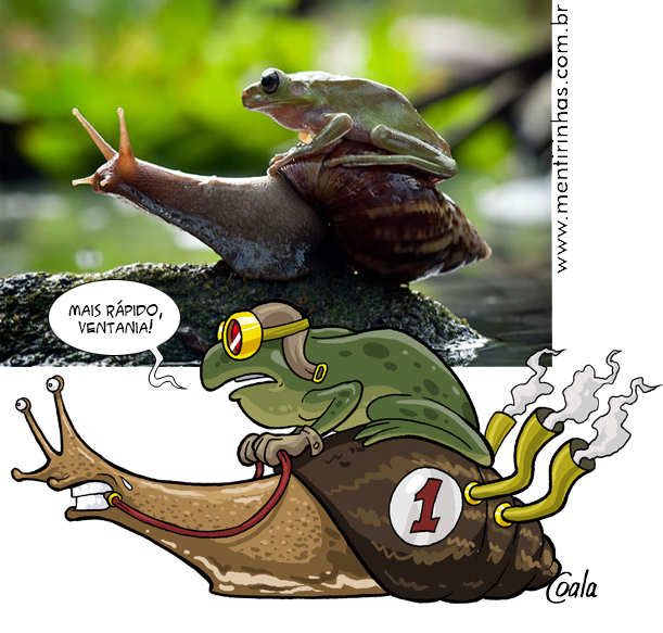 frog-on-snailOK