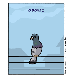 POMBO JOGANDO XADREZ 